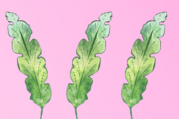 Ilustracja motyw roślinny zielone liście różowe tło	.