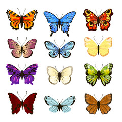 Fototapeta na wymiar Set of watercolor butterflies. Vector illustrations of insects with different patterns on wings. Cartoon collection of silhouettes with flying butterflies isolated on white. Nature, tattoo concept