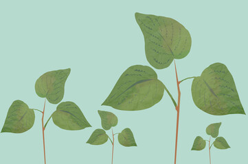 Zielone liście na gałązkach jasne pastelowe kolory - obrazy, fototapety, plakaty