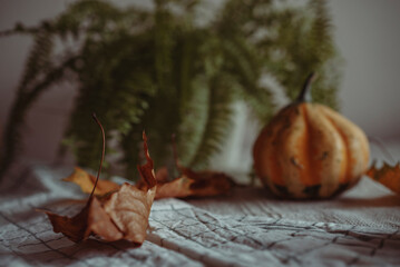 pumpkin on a wooden background