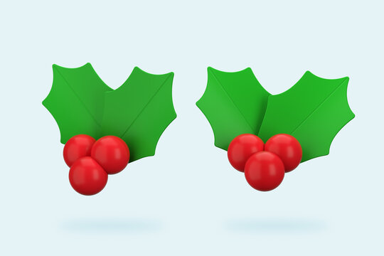 Christmas mistletoe 3d rendering isometric icon. 3d illustration