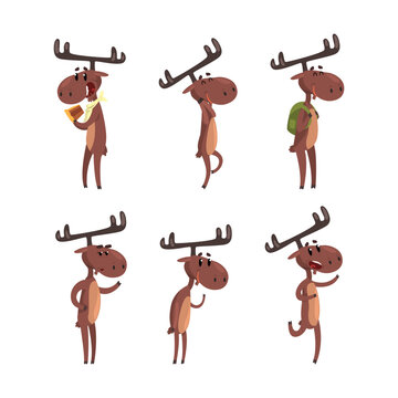 Funny moose characters set. Elk standing on hind legs cartoon vector illustration
