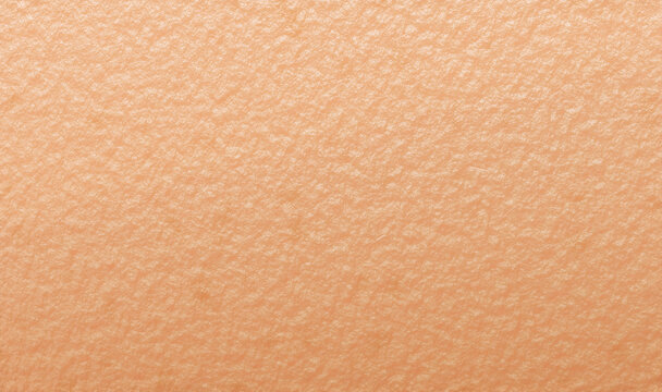 Skin of human face macro