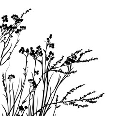 vector silhouette sketch of dry grass and flowers on a white background
