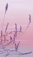 wallpaper with silhouette of wild herbs at sunrise and romantic mood