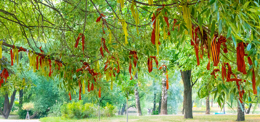 Wish tree with commemorative war ribbons