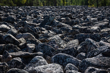 Close-up of a boulder field, Kivijata in Lauhanvuori National Park, Isojoki, Finland. Also known as pirunpelto (Devil's field).