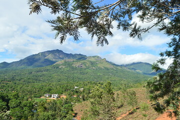 Obraz premium landscape with trees and mountains