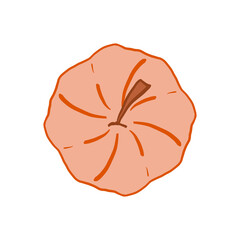 orange pumpkin. halloween. decor for the autumn holiday. Doodle, sketch. harvesting. vegetable. circuit. flat design