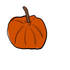 Pumpkin. Doodle, sketch. harvesting. halloween. vegetable. circuit. flat design