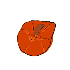 Pumpkin. Doodle, sketch. harvesting. halloween. vegetable. circuit. flat design