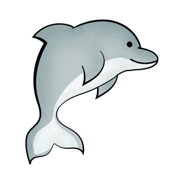 Dolphin illustration isolated on transperent background