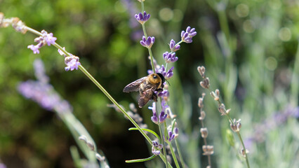 Vizinhança em Outubro