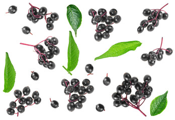 Collection of fresh elderberries and green leaves isolated on a white background, top view. Sambucus.