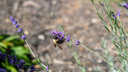 Vizinhança em Outubro