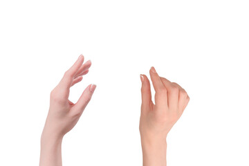 Woman hands with french manicure isolated on white bacckground.