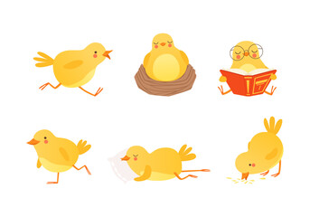 Cute Yellow Chick Engaged in Different Activity Vector Set