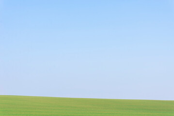 Green field with blue sky as background.