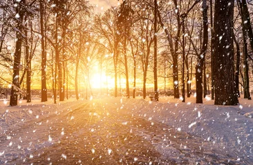 Sonnenuntergang oder Morgendämmerung in einem Winterstadtpark mit Bäumen, Bänken und Bürgersteigen, die mit Schnee und Eis bedeckt sind. Fallender Schnee. © Eugene_Photo