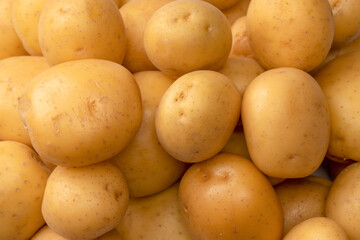 A group of fresh tasty potato as  background.