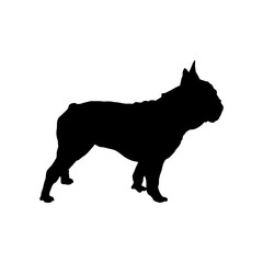 dog silhouette, french bulldog