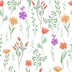 Seamless pattern hand drawn wild flowers and herbs on white background