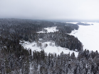 Winter in a spruce forest, spruces covered with white fluffy snow. Selective focus. Winter Landscape with Snow and Trees. Snow covered trees in forest during winter