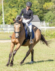 An equestrian rides her horse for a dressage warmup. 