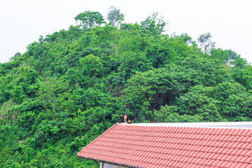 Young woman standing alone on a rooftop looking at the beautiful green mountains nature view. Tranquility, freedom, nature, vacation, and adventure concept.