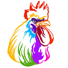 Abstract portrait of a angry rooster color contour illustration