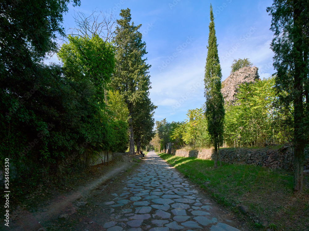 Wall mural via appia antica (antique appian way), urban regional park in rome, italy