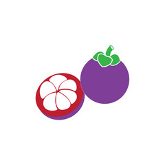 mangosteen icon logo vector design template