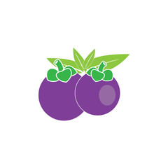 mangosteen icon logo vector design template