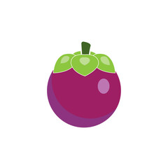 mangosteen icon logo vector design template