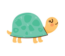 cute turtle animal character