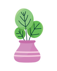 houseplant in lilac pot