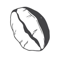 coffee beans icon with hand drawn line art doodle illustration style