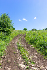 Fototapeta na wymiar dirt roads on subalpine meadows in a mountainous area on a summer day .*