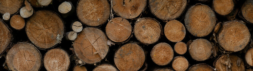 Stack of wooden stumps in cross section texture background - Wood woods forest long wide panorama banner pattern.