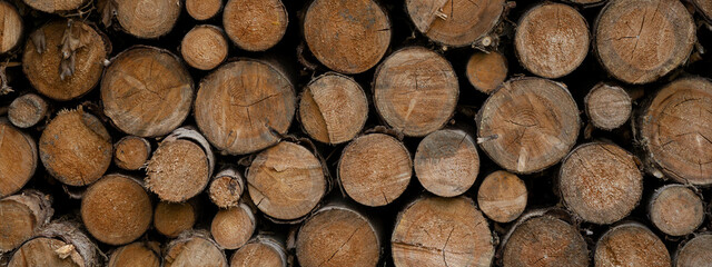Stack of wooden stumps in cross section texture background - Wood woods forest long wide panorama...