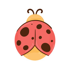 cute butterfly animal character