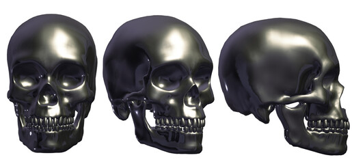  human skull, skeleton, head,  halloween