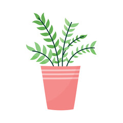 pink houseplant in pot