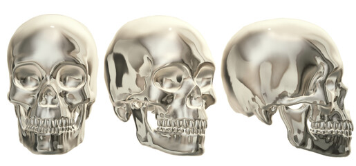  human skull, skeleton, head,  halloween