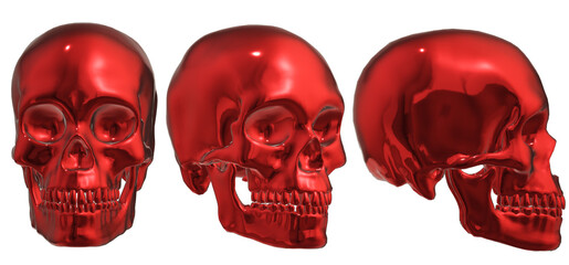  human skull, skeleton, head,  halloween