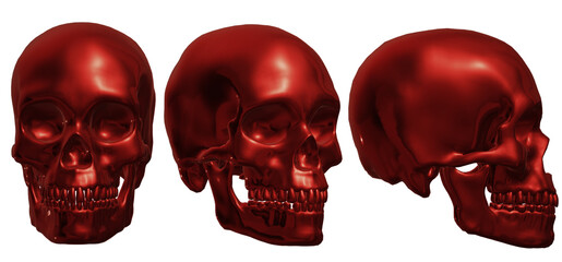  human skull, skeleton, head,  halloween