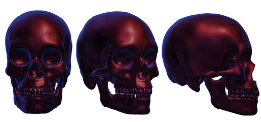  human skull, skeleton, head,  halloween