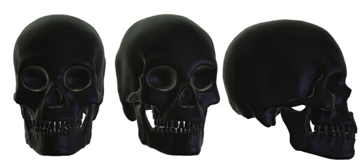  human skull, skeleton, head,  halloween