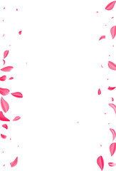 Beautiful Rose Blur Vector White Background.