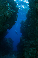 Fototapeta na wymiar Coral reefs of the Fiji Islands